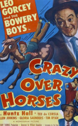 Crazy Over Horses