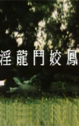 淫龙斗娇凤