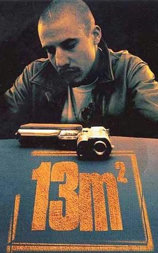 13平方米