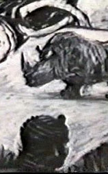Mine