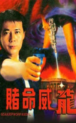 赌命威龙