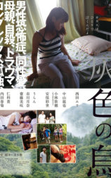 灰色乌鸦