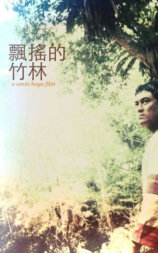 飘摇的竹林