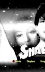 Shabab