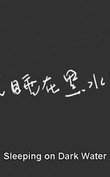 沉睡在黑水上