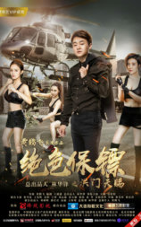 绝色保镖之洪门天赐