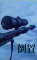 倒置