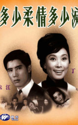 多少柔情多少泪