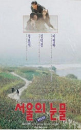 首尔的眼泪