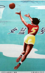 女篮5号