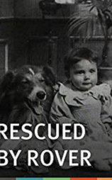 义犬救主