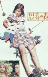 思春的森林