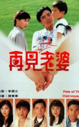 再见亦是老婆