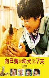 向日葵与幼犬的7天