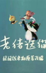 老猪选猫