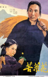 苦菜花