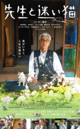 老师与流浪猫