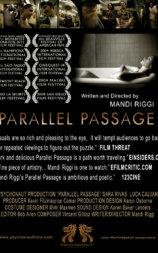 Parallel Passage