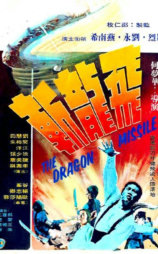 飞龙斩