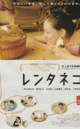租赁猫