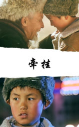 牵挂
