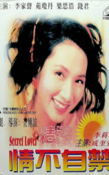 精装情不自禁