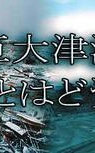 大海啸 浩劫生死录