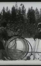 Артель