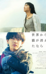 假如猫从世界上消失了