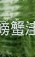 螃蟹洼