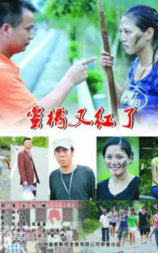 蜜橘又红了