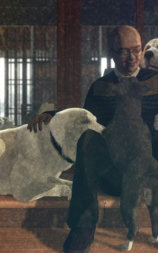 狗狗伤心志