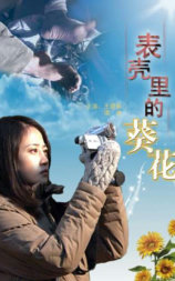 表壳里的葵花