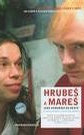 Hrubes a Mares jsou kamarádi do deste