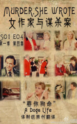 女作家与谋杀案：要你狗命