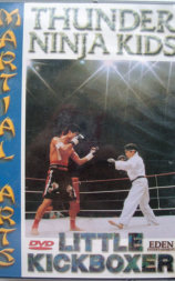 Little Kickboxer