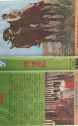 青龍鎮