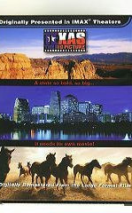 Texas: The Big Picture