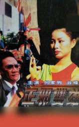 正邪双雄