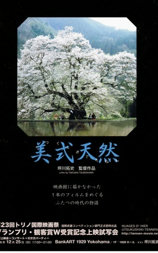 美式天然