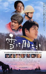 向雪祈祷
