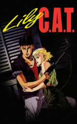 灵猫 C.A.T.