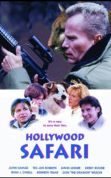 Hollywood Safari