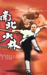 南北少林