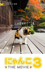 猫咪物语3