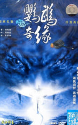 鹦鹉奇缘