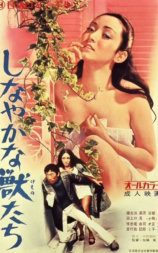 感官野兽