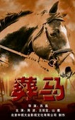 弹无虚发之葬马