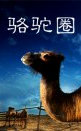 骆驼圈