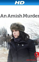 An Amish Murder